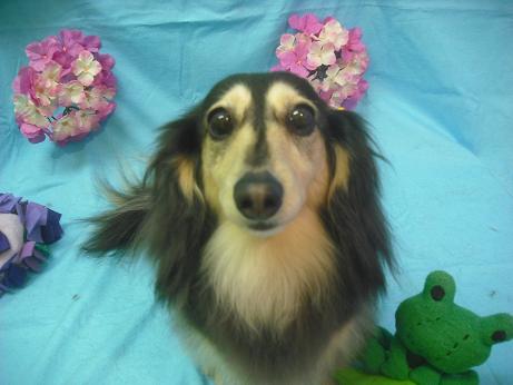 ファイル 4019-2.jpg