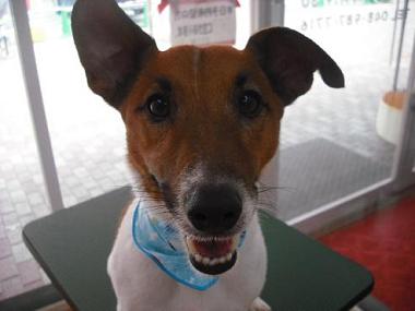 ファイル 402-1.jpg