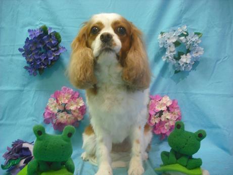 ファイル 4020-2.jpg