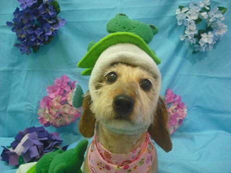 ファイル 4021-1.jpg