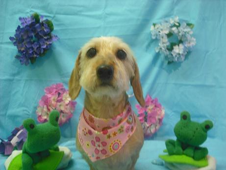 ファイル 4021-2.jpg