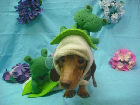 ファイル 4022-1.jpg