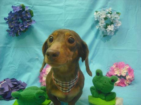 ファイル 4022-2.jpg