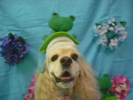 ファイル 4023-1.jpg