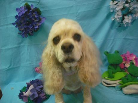 ファイル 4023-2.jpg