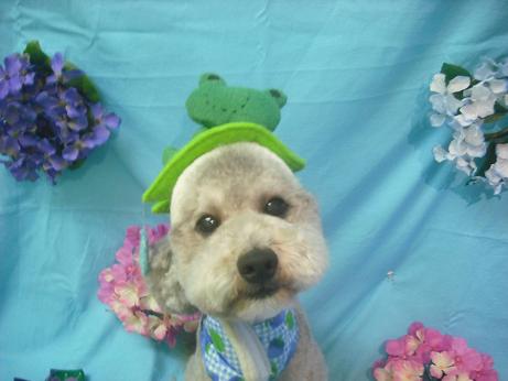 ファイル 4024-1.jpg