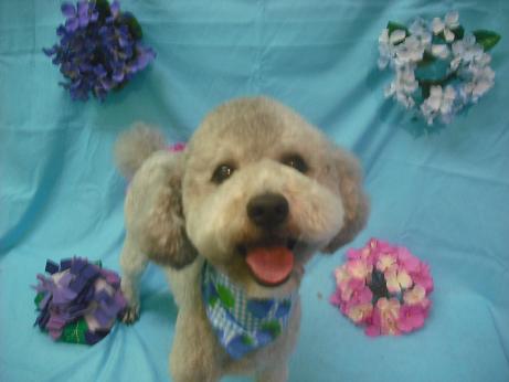 ファイル 4024-2.jpg