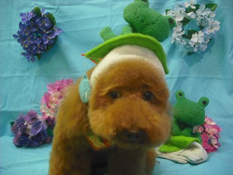 ファイル 4025-1.jpg