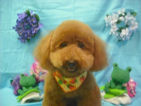 ファイル 4025-2.jpg