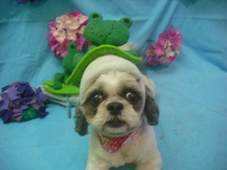 ファイル 4026-1.jpg