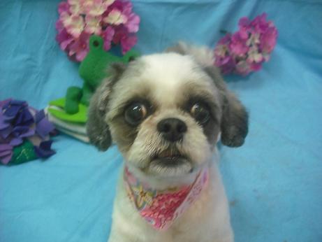 ファイル 4026-2.jpg