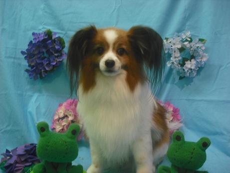 ファイル 4027-2.jpg