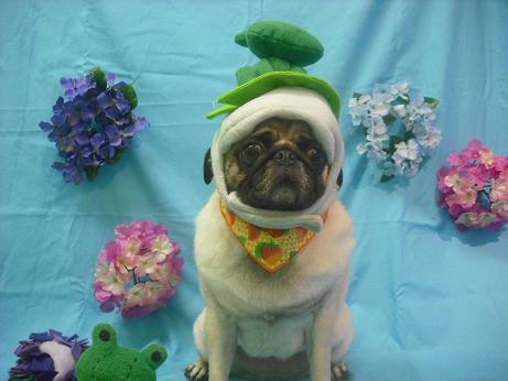 ファイル 4029-1.jpg