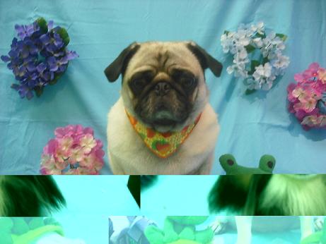 ファイル 4029-2.jpg