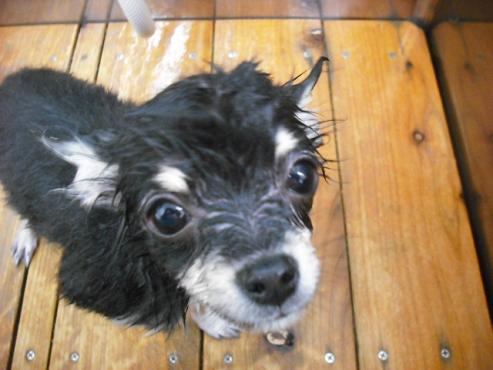 ファイル 403-3.jpg