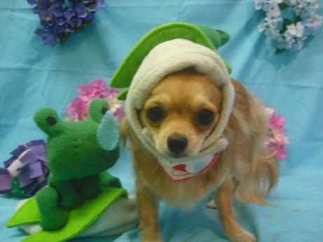 ファイル 4030-1.jpg