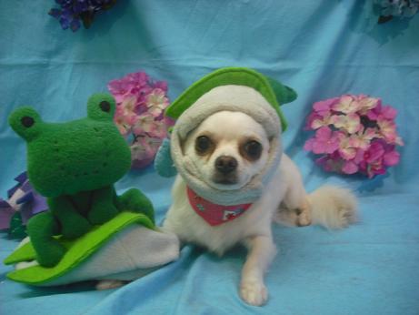 ファイル 4031-1.jpg