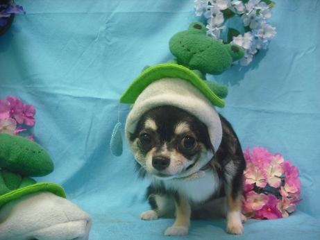 ファイル 4034-1.jpg