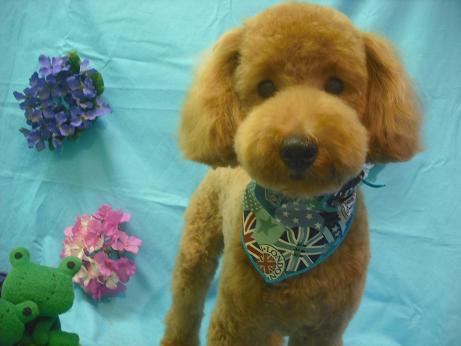 ファイル 4037-1.jpg