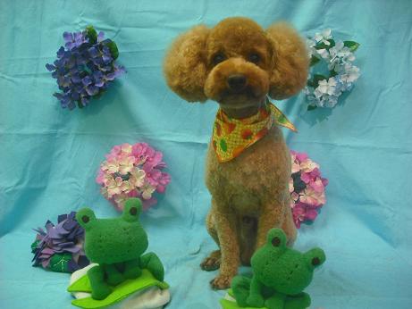 ファイル 4039-1.jpg