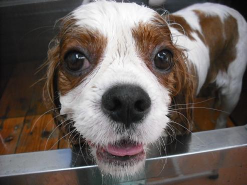 ファイル 404-3.jpg