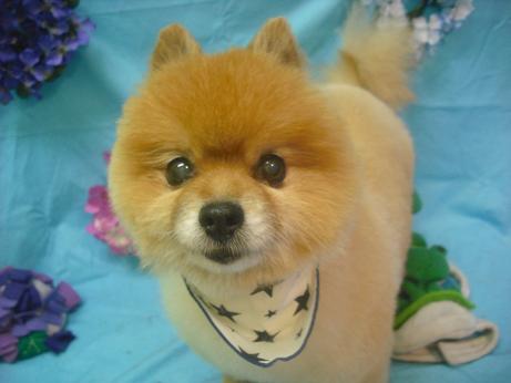 ファイル 4041-1.jpg