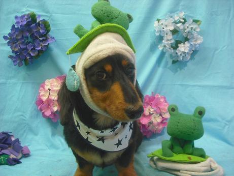 ファイル 4044-1.jpg