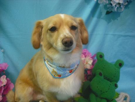 ファイル 4046-2.jpg