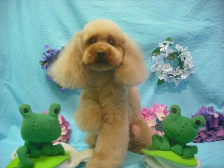 ファイル 4047-1.jpg