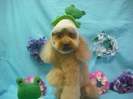 ファイル 4047-2.jpg