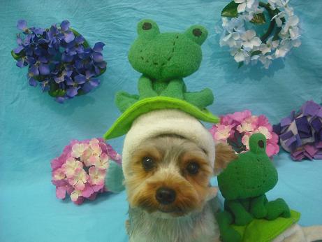 ファイル 4048-2.jpg