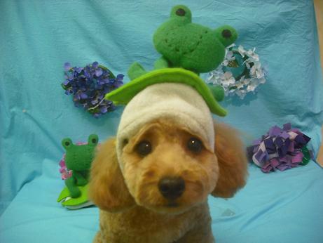 ファイル 4049-2.jpg