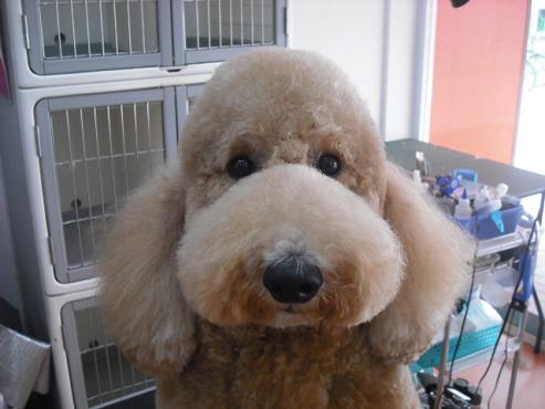 ファイル 405-1.jpg