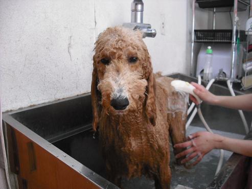 ファイル 405-2.jpg