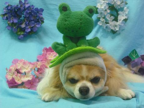 ファイル 4050-2.jpg