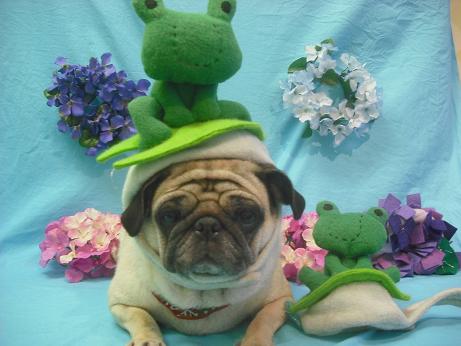 ファイル 4051-1.jpg