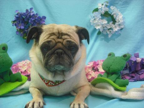 ファイル 4051-2.jpg