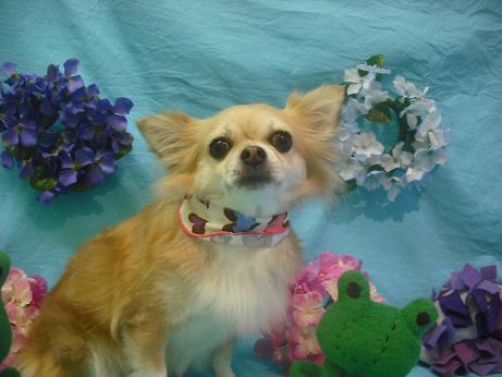 ファイル 4053-2.jpg