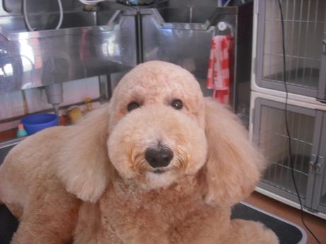 ファイル 4054-1.jpg