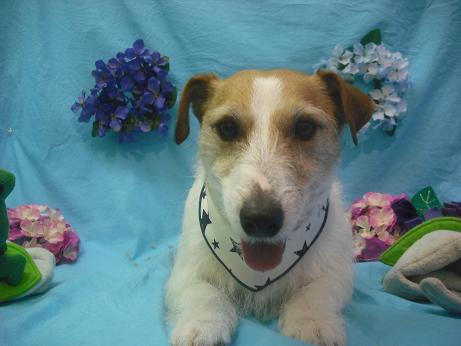 ファイル 4055-2.jpg