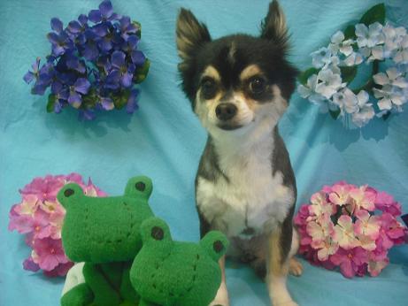 ファイル 4056-2.jpg