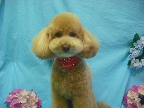 ファイル 4057-2.jpg