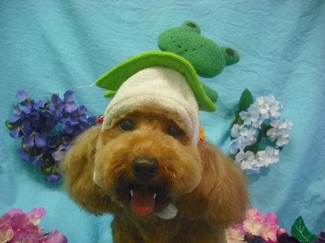 ファイル 4058-1.jpg