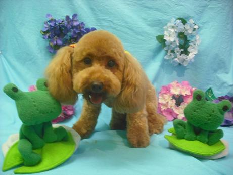 ファイル 4058-2.jpg