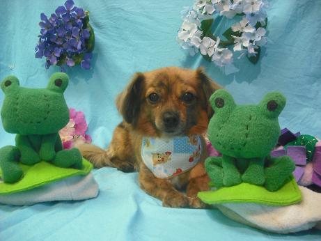 ファイル 4059-2.jpg