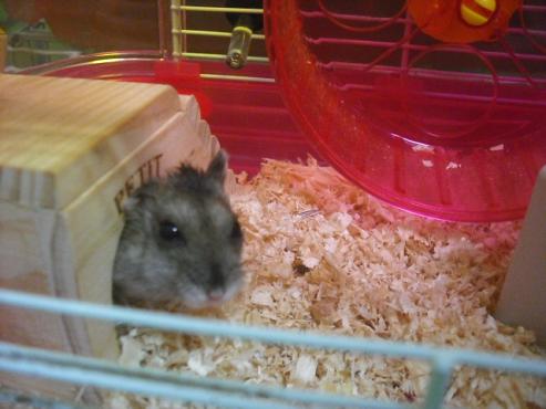 ファイル 406-2.jpg