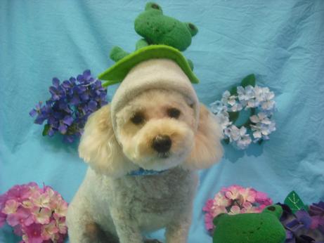 ファイル 4061-1.jpg