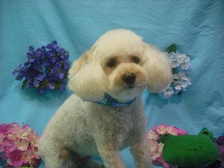 ファイル 4061-2.jpg