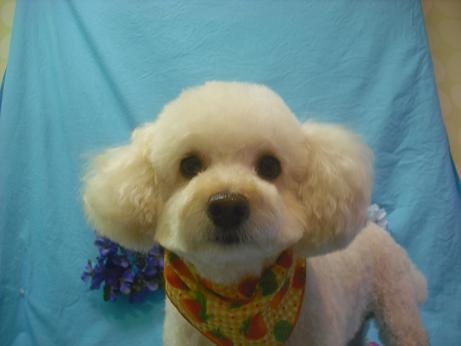 ファイル 4063-1.jpg