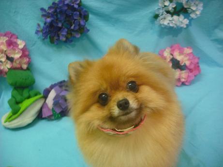 ファイル 4065-2.jpg